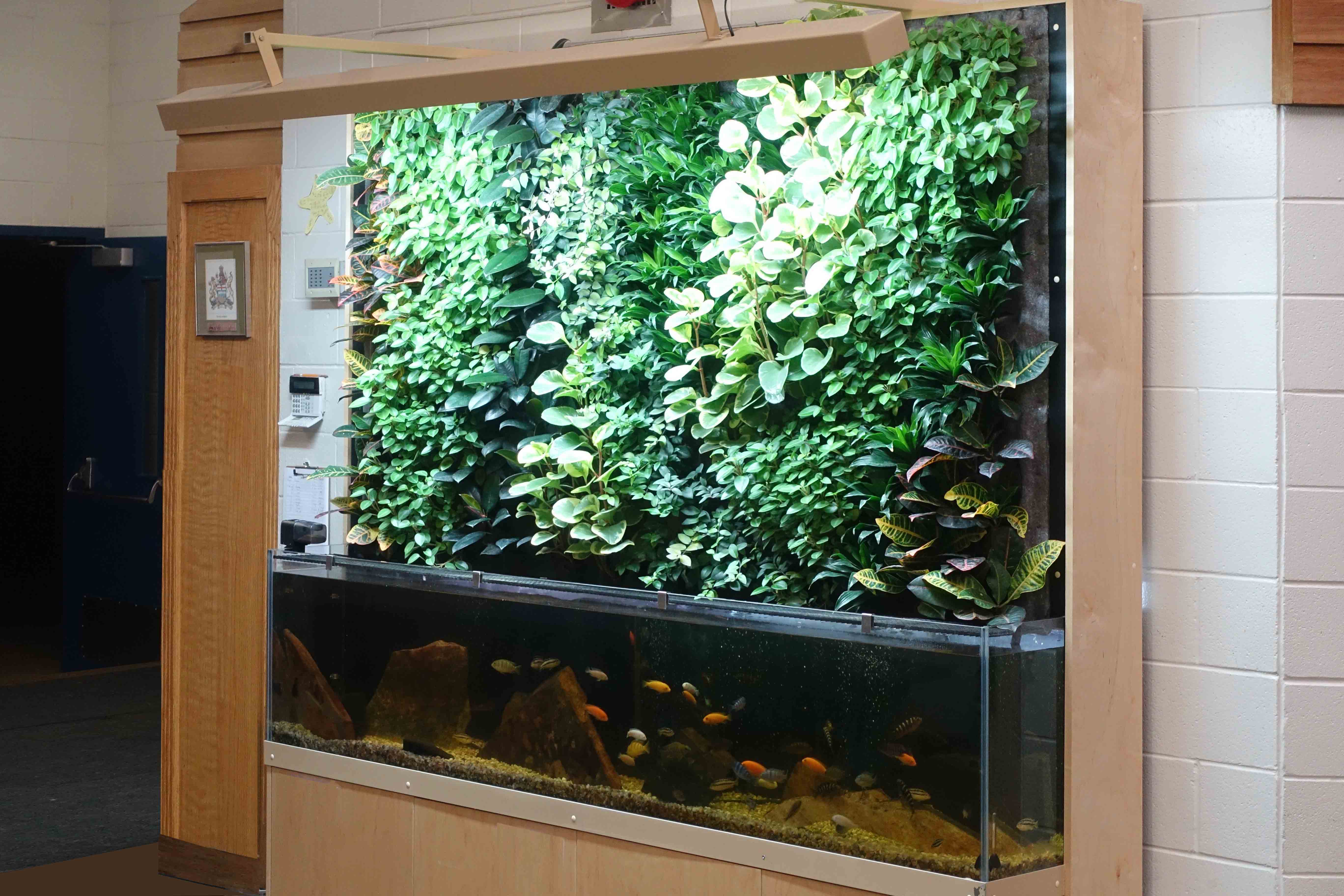 Aquaponics systems for schools Gaston County's Webb Street School creates programs to teach students job skills